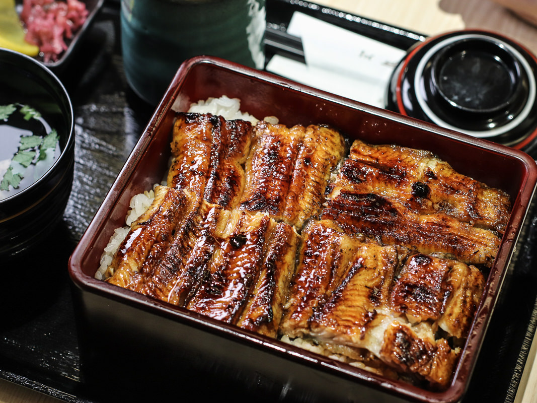 60年京都鰻魚名店江戶川台北插旗，好吃不貴的鬆軟烤鰻|台北必吃鰻魚飯