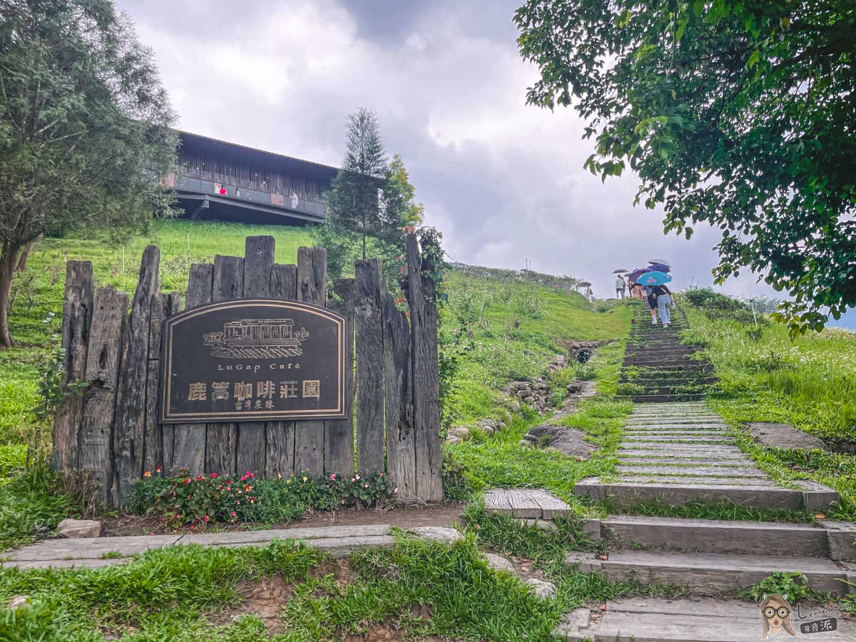 鹿篙咖啡莊園｜景色絕美的南投下午茶景點，茶園圍繞療癒身心