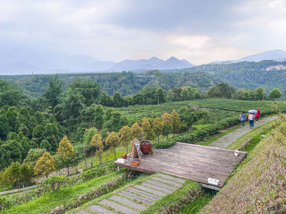 鹿篙咖啡莊園｜景色絕美的南投下午茶景點，茶園圍繞療癒身心